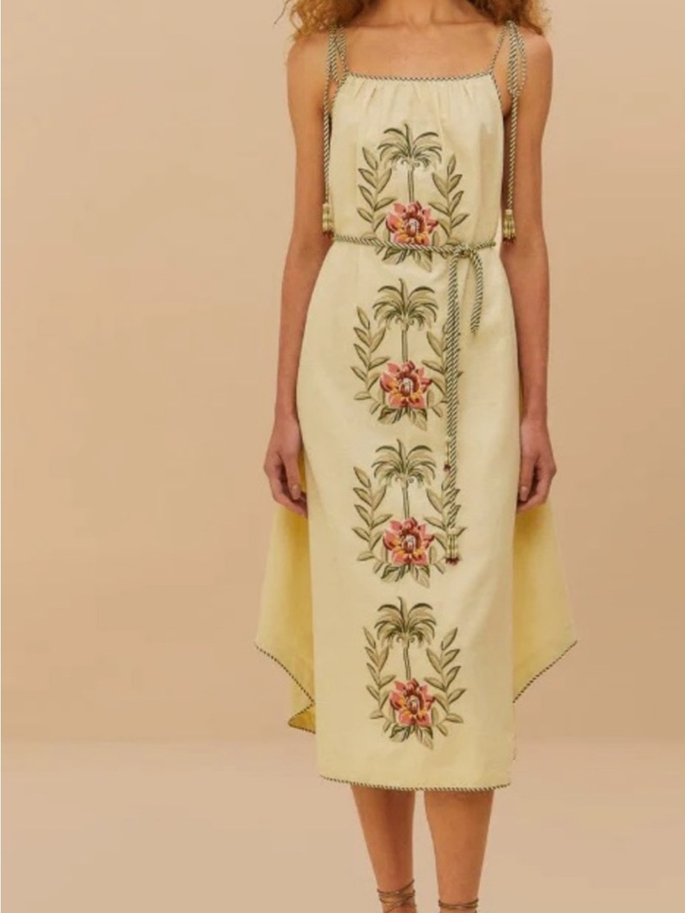 FARM Rio Cream Maxi Dress with Pink Floral Embroidery - Picture 3 of 4